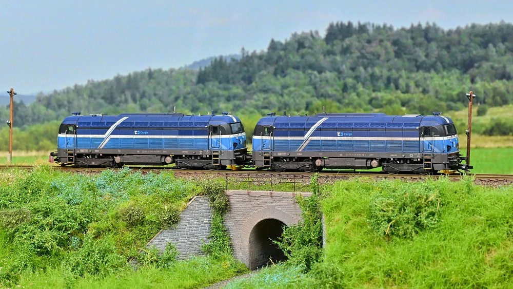 753.616-2 +618-8 SET patina