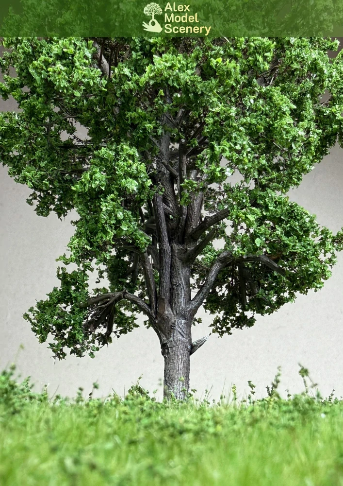 Javor 18-20 cm