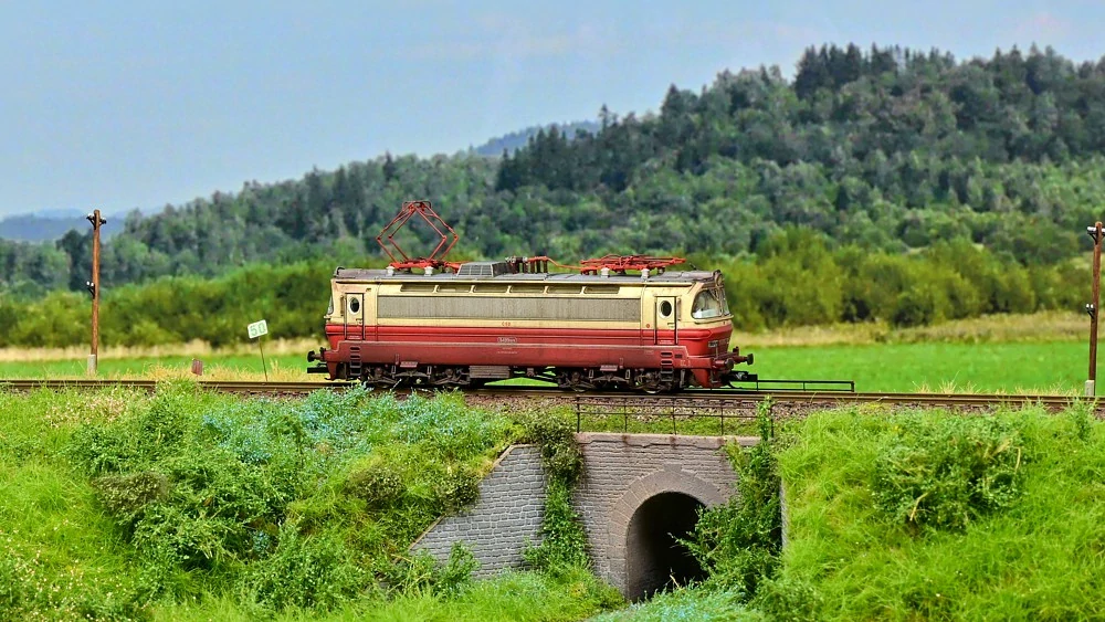 S499.1019 ČSD Patina