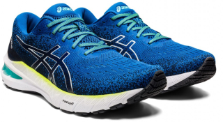 Asics GT-2000 10 MK pánská běžecká obuv