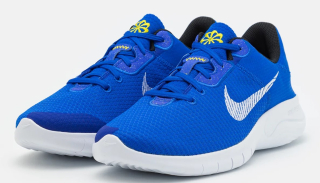 Nike Flex Experience RN 11 pánská běžecká obuv modrá