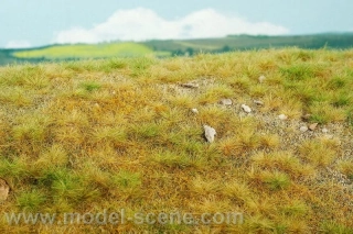 Model Scene Pozdní léto vápencové kameny S