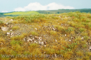 Model Scene Pozdní léto vápencové kameny M