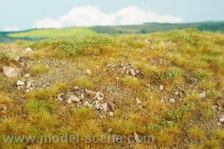 Model Scene Pozdní léto vápencové kameny M