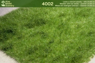 Louka s nízkými plevely